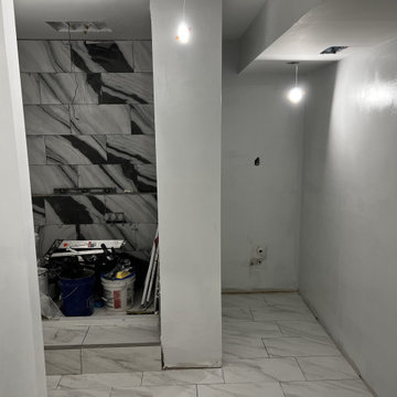 Basement Remodel
