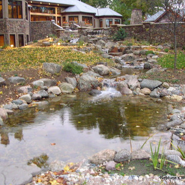 Koi Ponds and Water Gardens