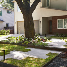 Shade Garden