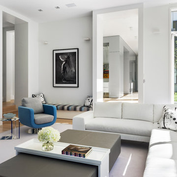 Contemporary Living Room
