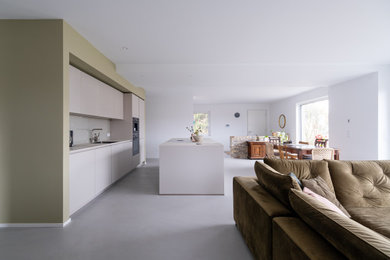 Mittelgroßes, Offenes Modernes Wohnzimmer mit grüner Wandfarbe und grauem Boden in Frankfurt am Main