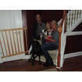 Sunview General Contracting, Inc.'s profile photo