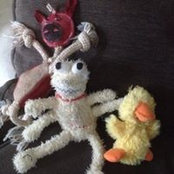 Jens Bodal's photo