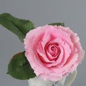 Shenelle Robson's photo