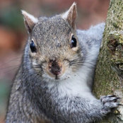 Aubrey Scheel's photo