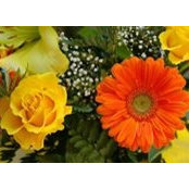 Judy Sajewski's photo