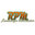 RPM Landscape Contractor