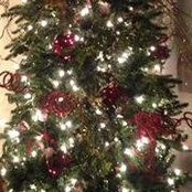 Tracy Cochran's photo