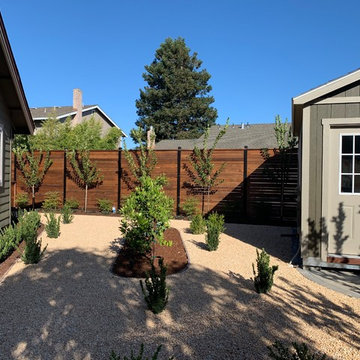 Petaluma Pool renovation
