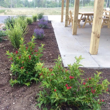 Perennial Garden