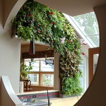 Wall designs