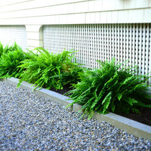 curbing