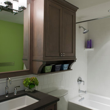 Lake Michigan Remodel
