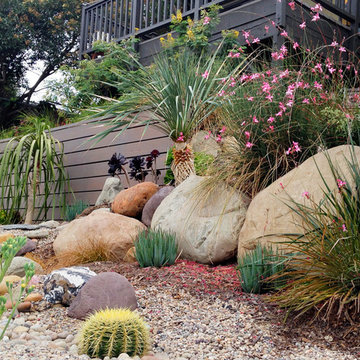 Conscious Stream Scape- Silverlake