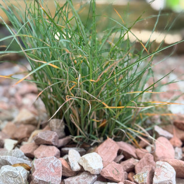 Landscape Renewal - Ken Caryl, CO