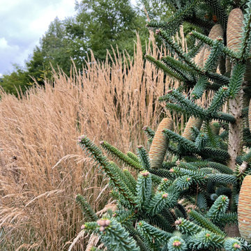 Front berm in early autumn