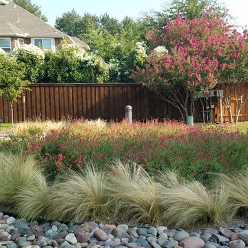 HOA Parks for Pollinators - Canyon Crest Park in Valley Ranch