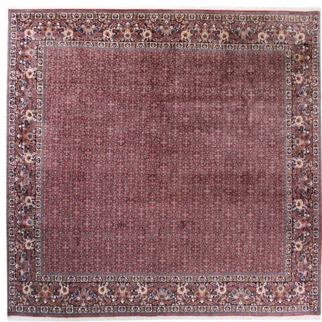 Persian Rug Bidjar 9'9"x10'0" Hand Knotted