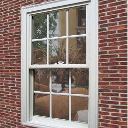 United Windows Sold by Elegant Entries - Windows