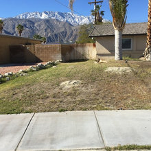 New landscape ideas