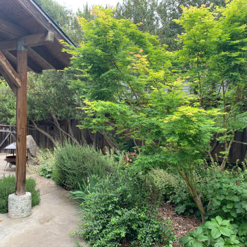Boulder Creek Bright