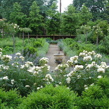 Informal Garden