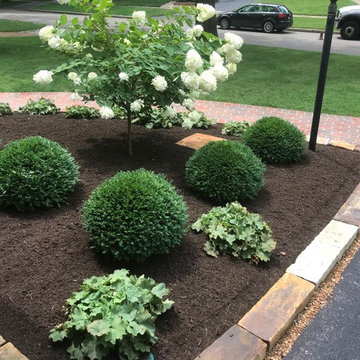 Landscape Upgrade for Architect's Home