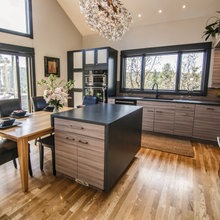 Sitine Cabinets