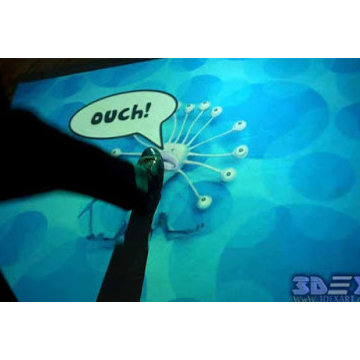 Interactive Floor Projection