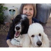 Shelly Perry's photo