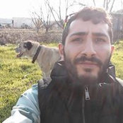 Adi Koresh's photo
