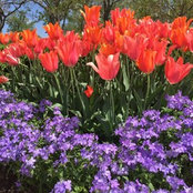 Nancy Barrott's photo