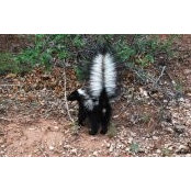 Monty Gregory's photo