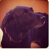 Alexandra Prieto's photo