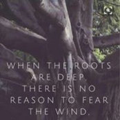 Heidi Stephenson Pendergraff's photo