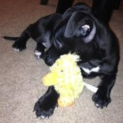 Inesa Kolberg's photo
