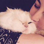 Renee Rolewicz's photo
