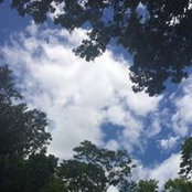 Jill Breakstone's photo