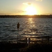 Rachel Rosenthal's photo