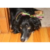 Mary Kelly's photo