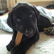 Caroline Bourn's photo