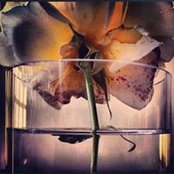Sarah Blackman's photo