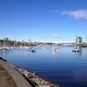 Julian Benedict's photo