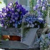 Connie Maras's photo