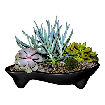 Dale Tabletop Planter