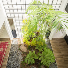 déco intérieure plantes
