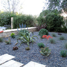 Front yard