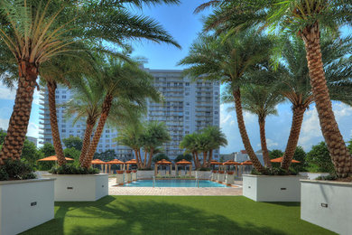 Photo of a modern pool in Miami.