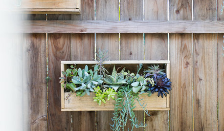 11 idées pour cultiver sur les murs d'un balcon ou d'une terrasse