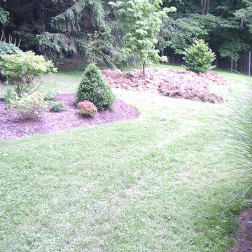 Early stages of the second bed